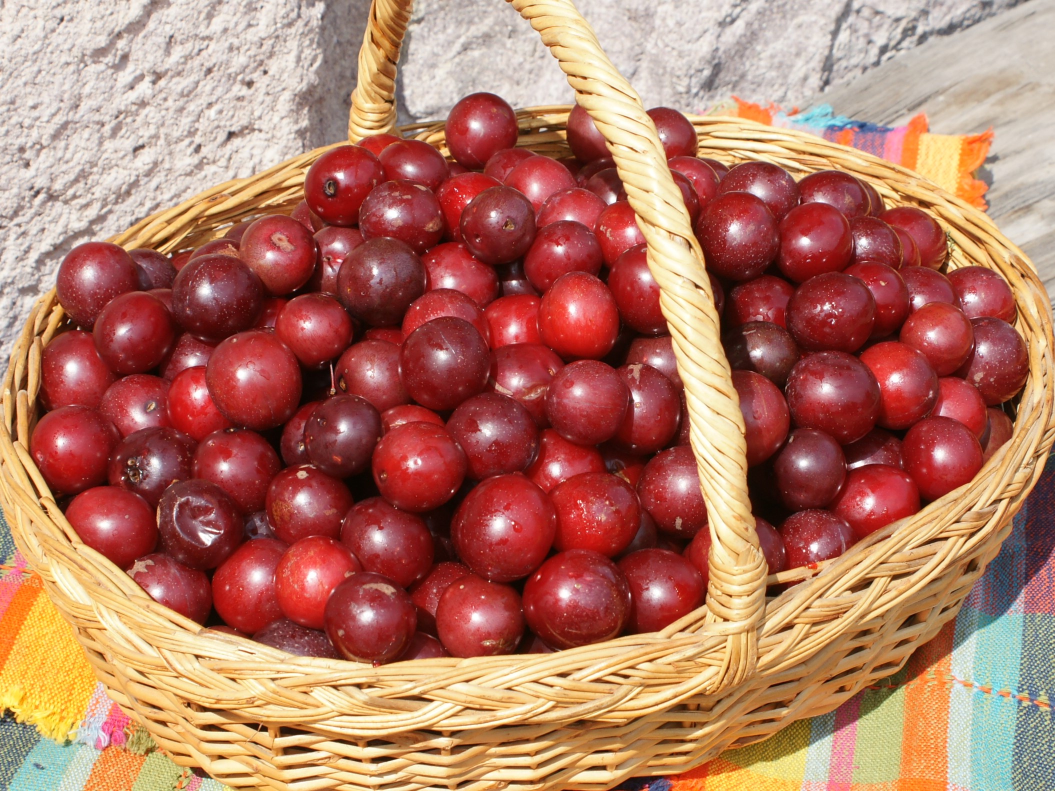 Compota de Ciruela Roja