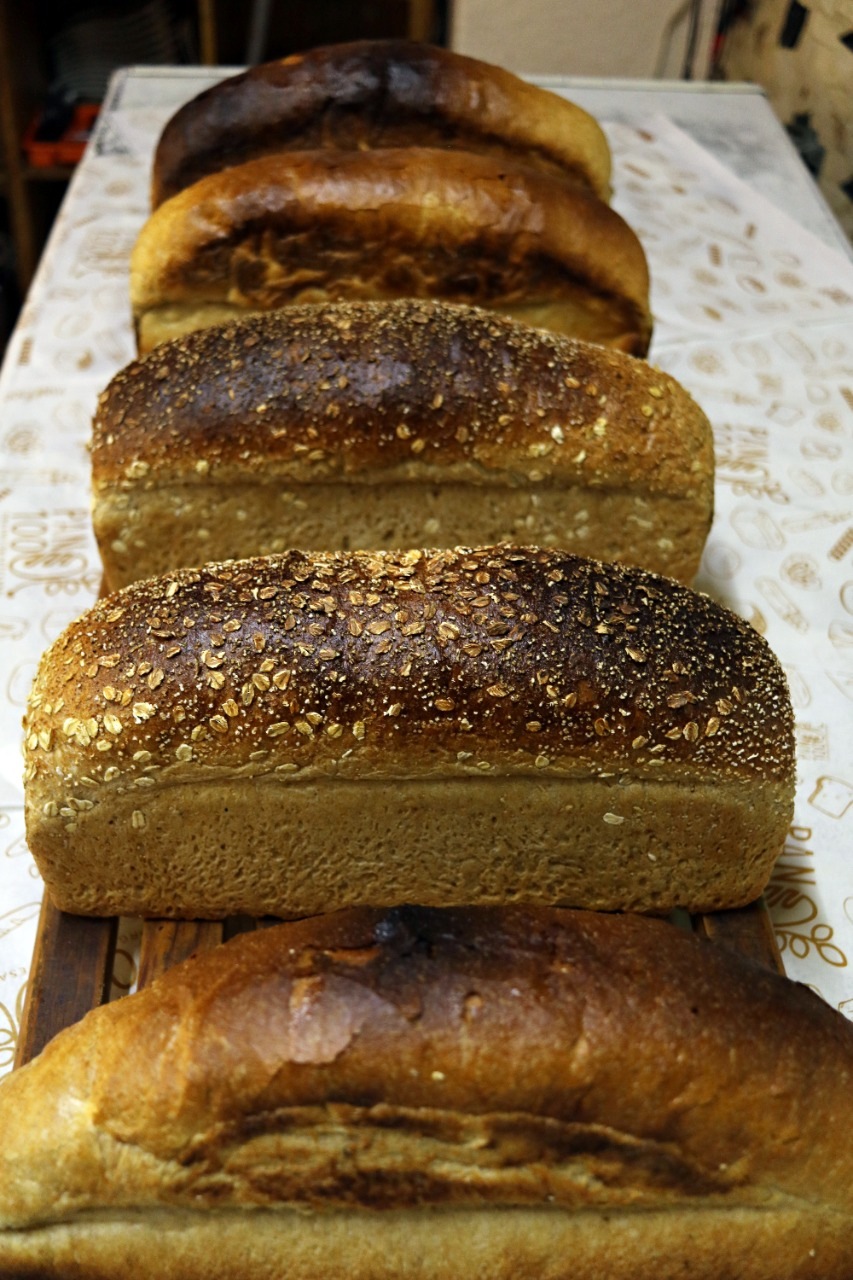 Pan Masa Madre Integral