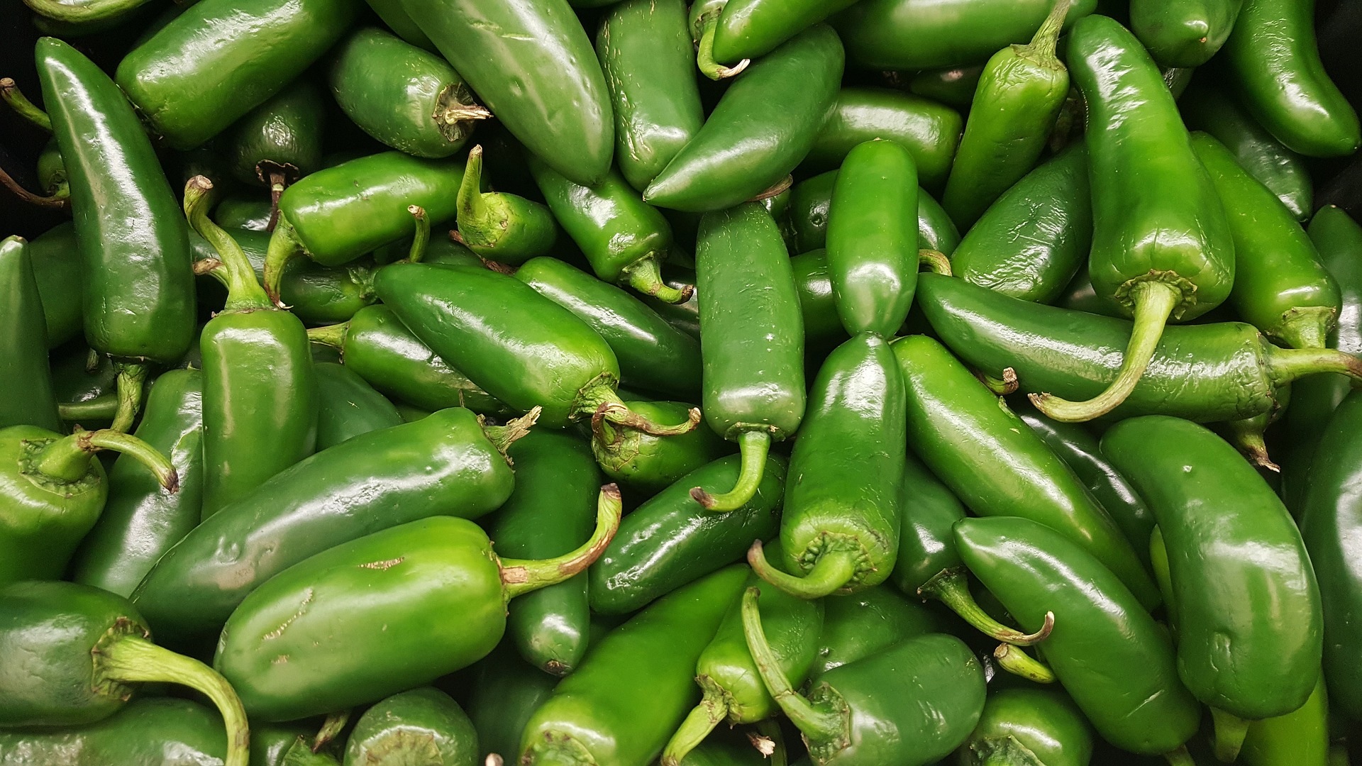 Semillas Salsa Verde