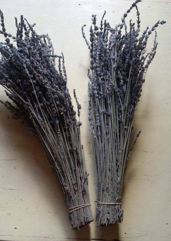 Ramo Lavanda