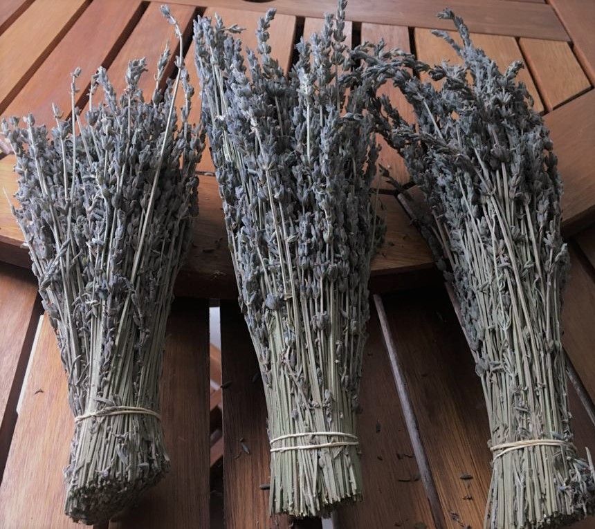 Ramo Lavanda