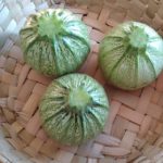 Calabacita Criolla